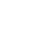 Voice Description