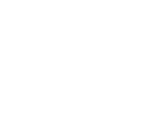 Voice Description